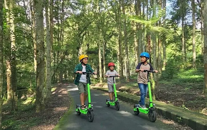 Kids riding electric scooters through tropical gardens in Bali, a fun family activity