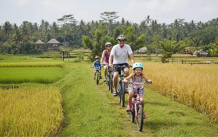 Family cycling through lush green rice fields in Bali