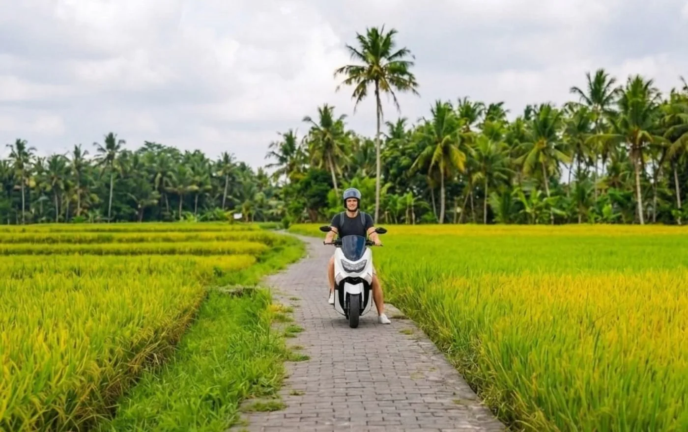 Scooter rental on quiet Bali road with rice fields and tropical scenery