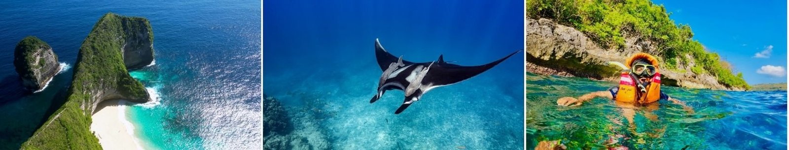 Snorkeling with giant manta rays in Nusa Penida crystal clear water