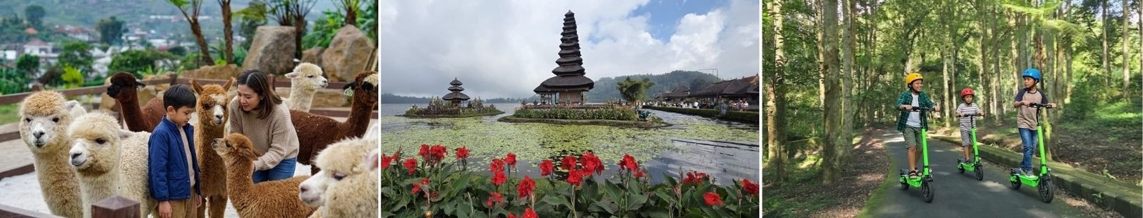 Family tour alpacas and scenic Lake Beratan boat ride Bali highlands